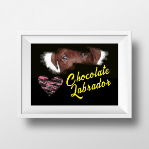 Chocolate Labrador Eyes Solid Colour Poster