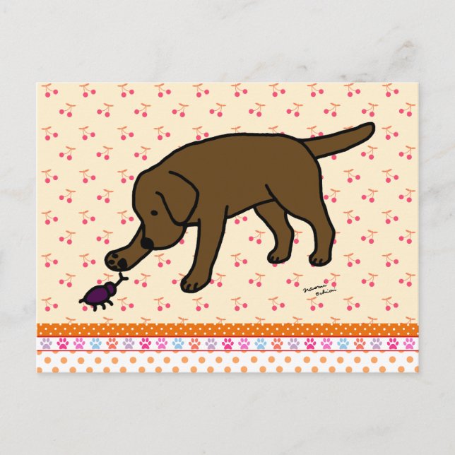 Chocolate Labrador Friendly Postcard (Front)