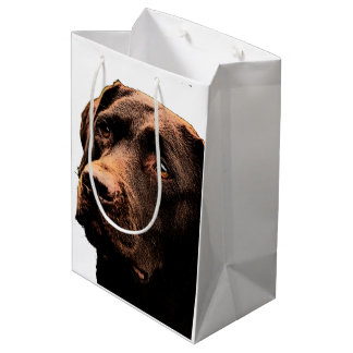 Chocolate labrador gift bag