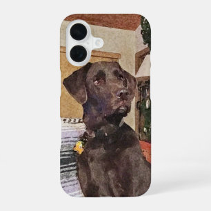Chocolate Labrador iPhone 16 Case