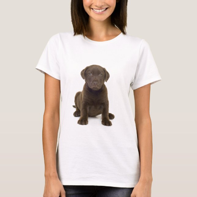 Chocolate Labrador Ladies T-Shirt (Front)