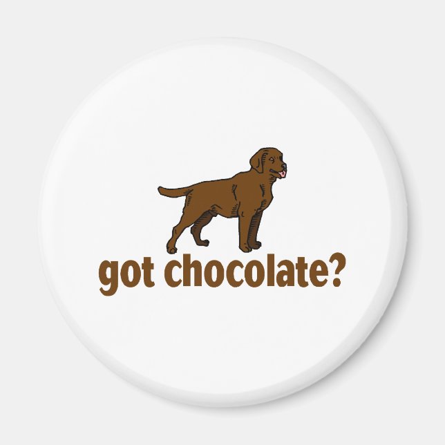 Chocolate Labrador Magnet (Front)