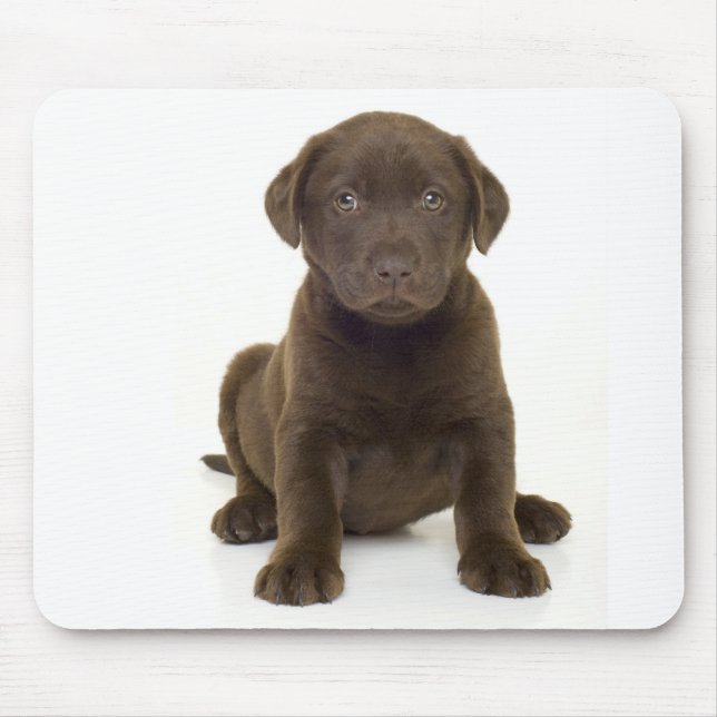 Chocolate Labrador Mousepad (Front)