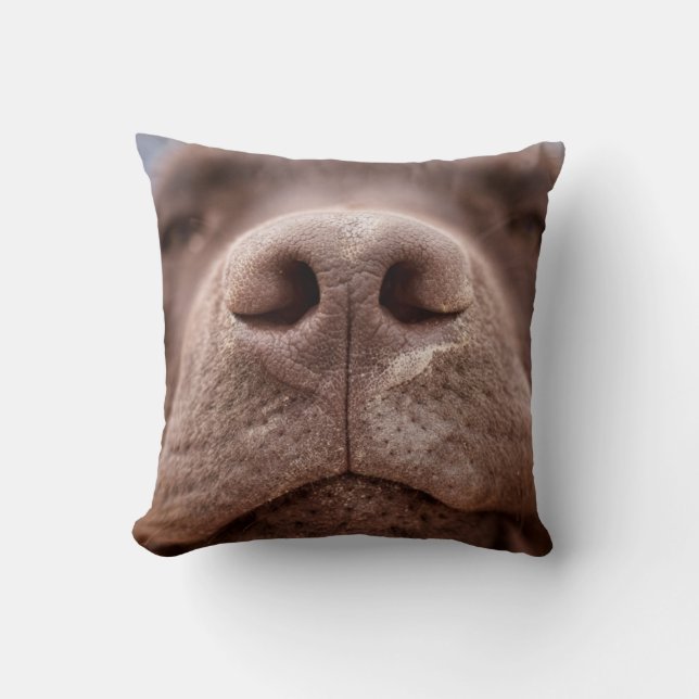 Chocolate Labrador Nose Closeup Cushion (Front)