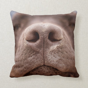 Chocolate Labrador Nose Closeup Cushion