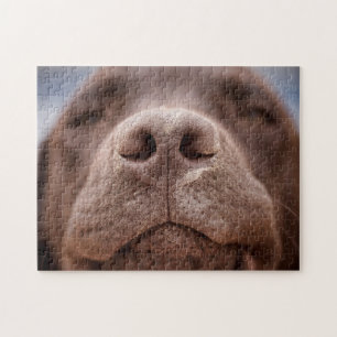 Chocolate Labrador Nose Closeup Jigsaw Puzzle
