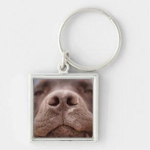 Chocolate Labrador Nose Closeup Key Ring