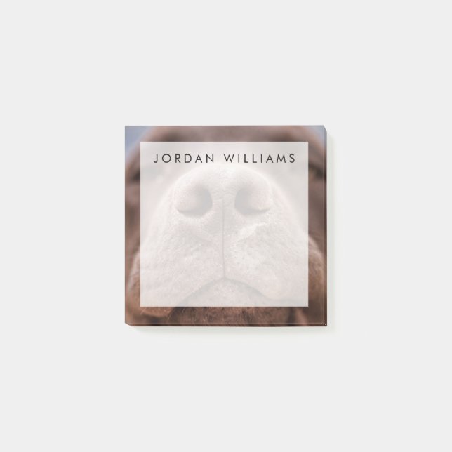 Chocolate Labrador Nose Closeup Post-it Notes (Front)