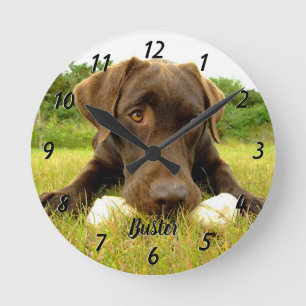 Chocolate Labrador Personalised Large Clock