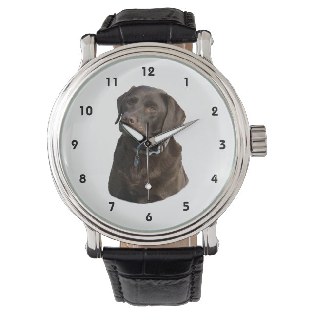 Chocolate Labrador photo portrait Watch (Front)