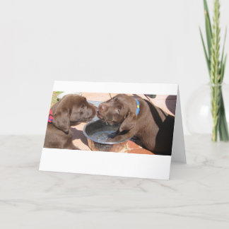 Chocolate Labrador Puppies Card