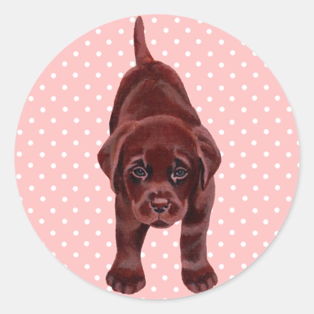 Chocolate Labrador Puppy Classic Round Sticker (Front)