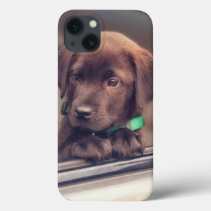 Chocolate Labrador Puppy In Car iPhone 13 Case