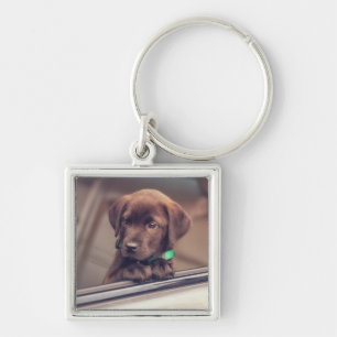 Chocolate Labrador Puppy In Car Key Ring
