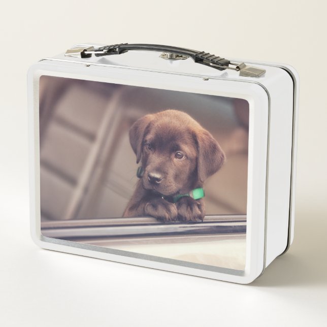 Chocolate Labrador Puppy In Car Metal Lunch Box (Back)
