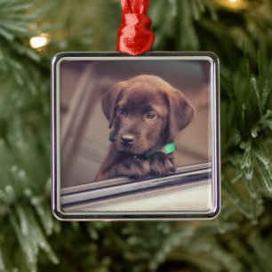 Chocolate Labrador Puppy In Car Metal Tree Decoration