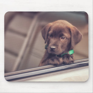 Chocolate Labrador Puppy In Car Mouse Pad