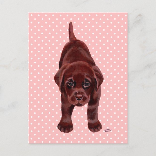 Chocolate Labrador Puppy Postcard (Front)