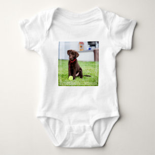 Chocolate Labrador Puppy With Tennis Ball Baby Bodysuit