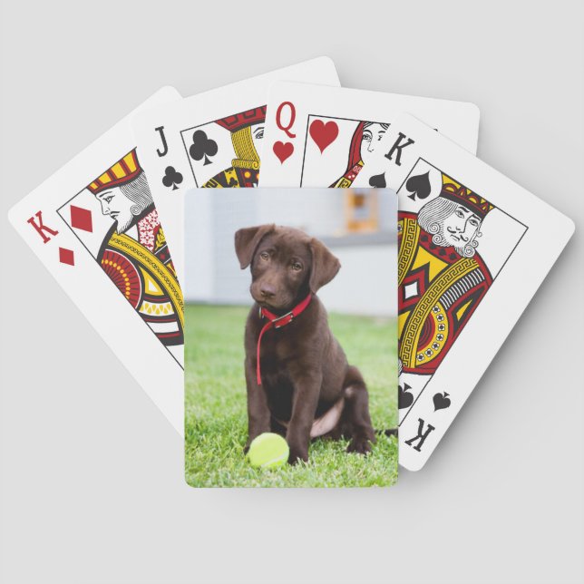 Chocolate Labrador Puppy With Tennis Ball Playing Cards (Back)