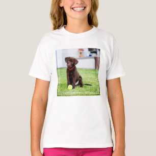 Chocolate Labrador Puppy With Tennis Ball T-Shirt
