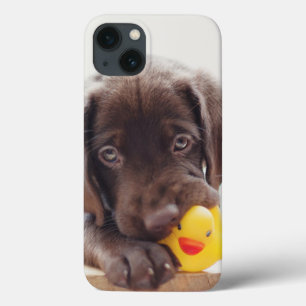 Chocolate Labrador Puppy With Toy Duck iPhone 13 Case