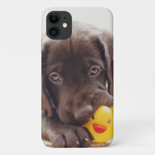 Chocolate Labrador Puppy With Toy Duck Case-Mate iPhone Case