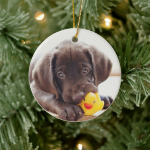 Chocolate Labrador Puppy With Toy Duck Ceramic Tree Decoration
