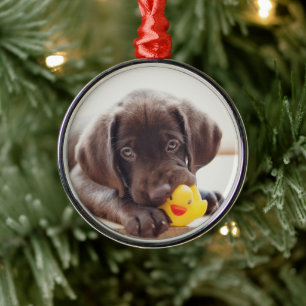 Chocolate Labrador Puppy With Toy Duck Metal Tree Decoration