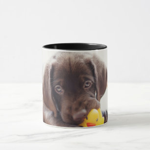 Chocolate Labrador Puppy With Toy Duck Mug