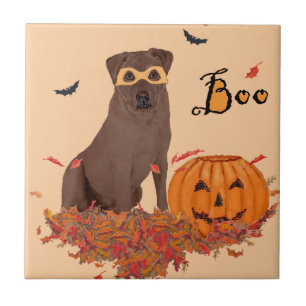 Chocolate Labrador Retriever Boo! Tile