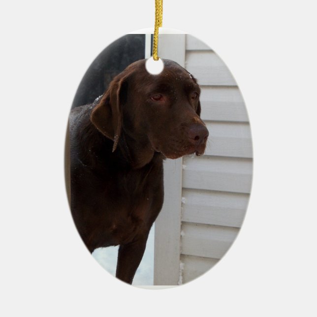 Chocolate Labrador Retriever Ceramic Tree Decoration (Front)