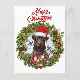 Chocolate Labrador Retriever, Christmas wreath Postcard
