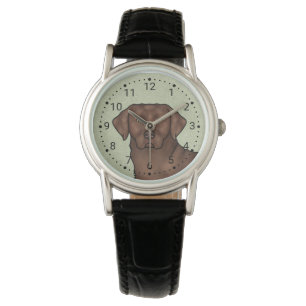 Chocolate Labrador Retriever Cute Lab Dog Green Watch