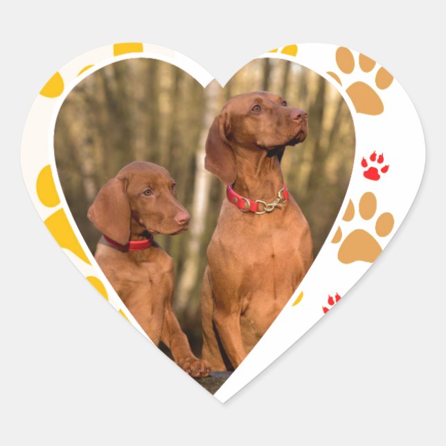 Chocolate Labrador Retriever  Dog Hearts Paw Print Heart Sticker (Front)