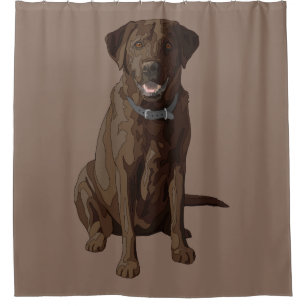 Chocolate Labrador Retriever Dog Sitting Shower Curtain