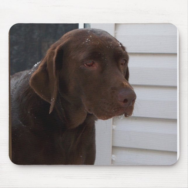 Chocolate Labrador Retriever Mouse Pad (Front)