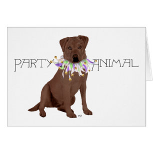 Chocolate Labrador Retriever Party
