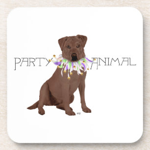 Chocolate Labrador Retriever Party Coaster