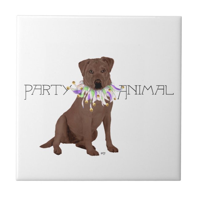 Chocolate Labrador Retriever Party Tile (Front)