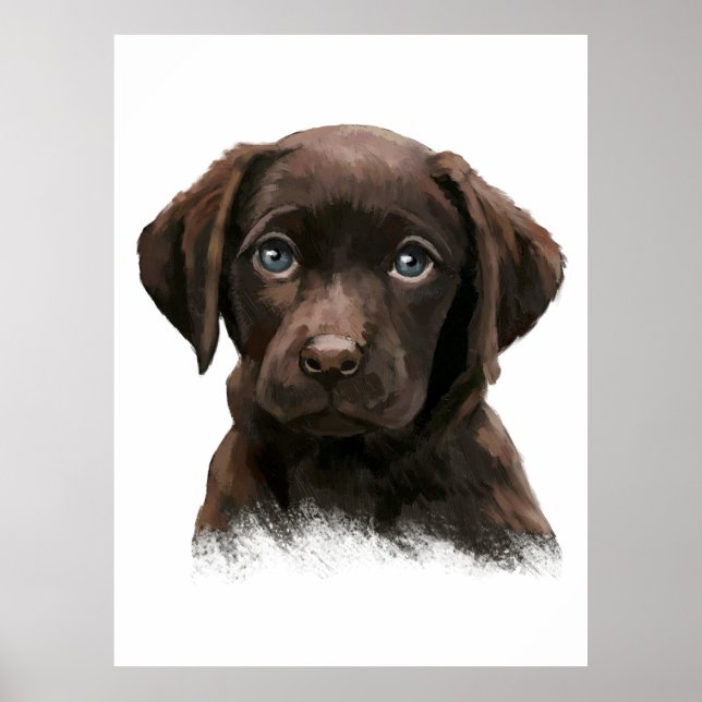 Chocolate Labrador Retriever Poster (Front)