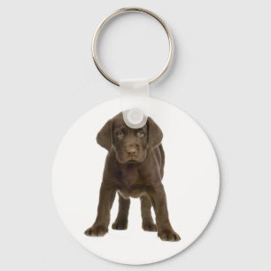 Chocolate Labrador Retriever Puppy Dog Keychain