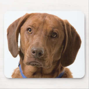 Chocolate Labrador Retriever Puppy Dog Mousepad