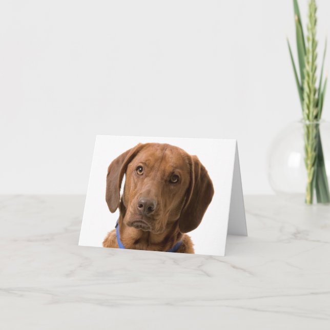 Chocolate Labrador Retriever Puppy Dog Note Card (Front)