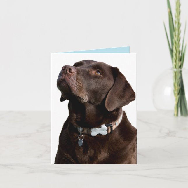 Chocolate Labrador Retriever Puppy Dog Note Card (Front)