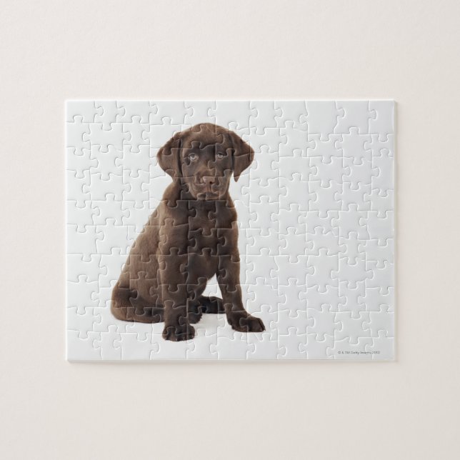 Chocolate Labrador Retriever Puppy Jigsaw Puzzle (Horizontal)