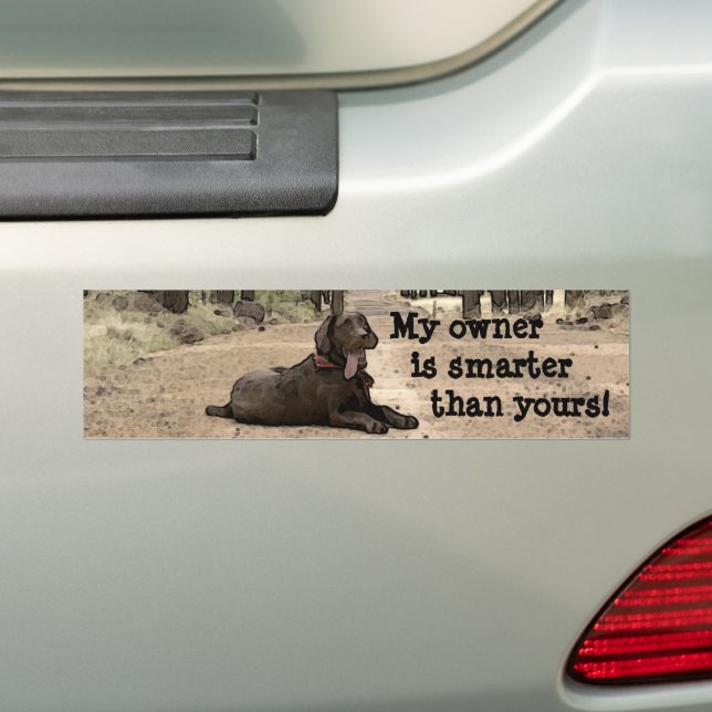 Chocolate Labrador Retriever Puppy Personalised Bumper Sticker (On Car)