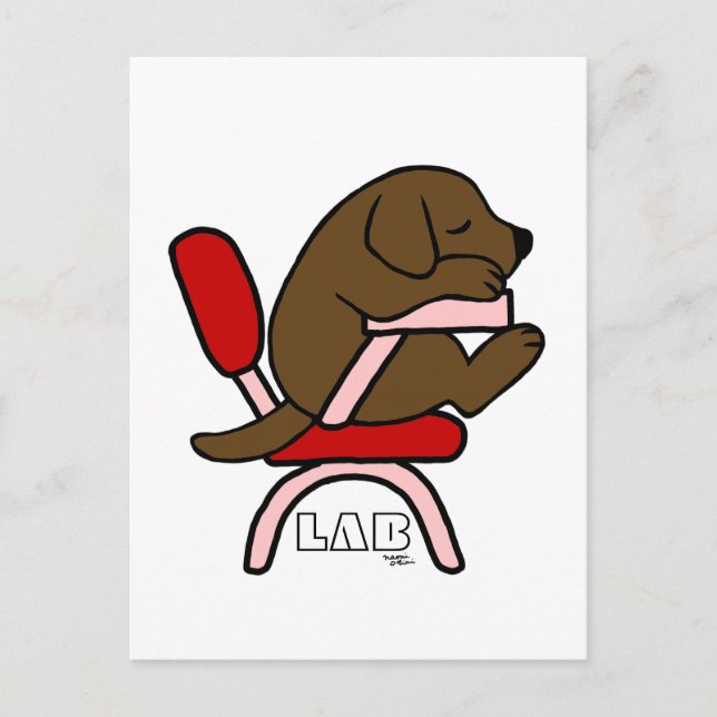 Chocolate Labrador Student 2 Cartoon Postcard (Front)
