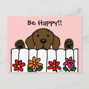 Chocolate Labrador watching you Postcard