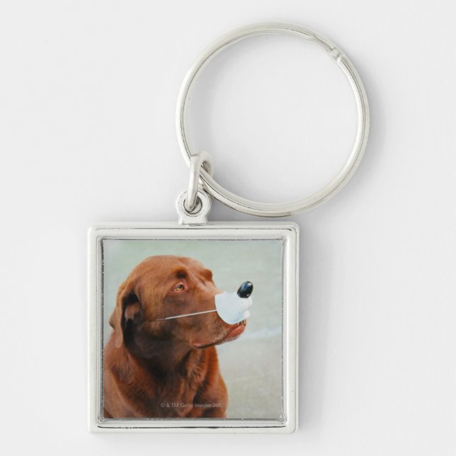 Chocolate Labrador Wearing a Fake Nose Key Ring (Front)